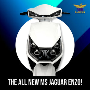 MS Jaguar Enzo