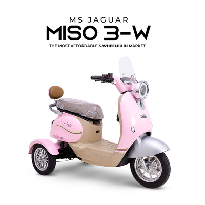 Most Affordable electric 3 wheeler in Pakistan